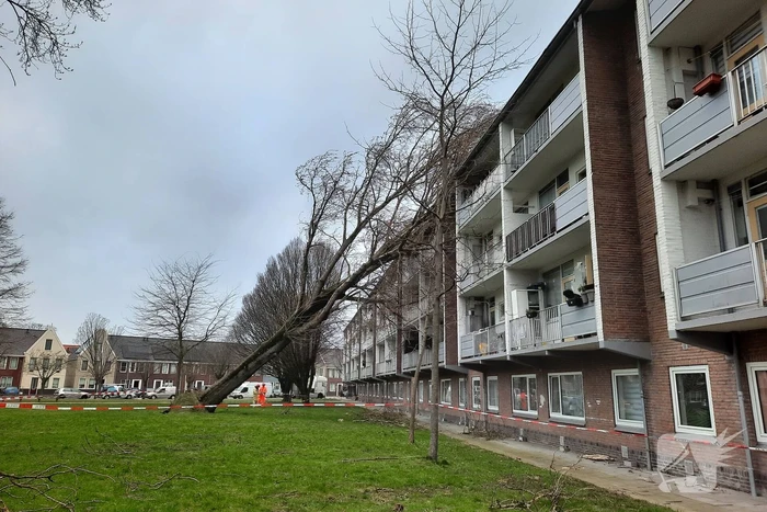 Boom waait tegen flat