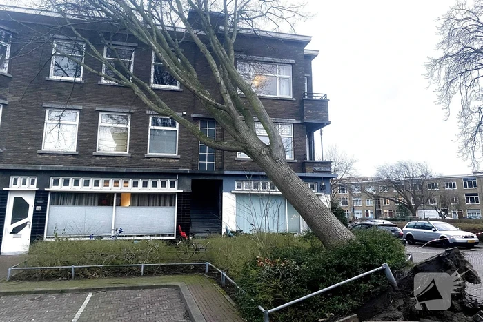 Grote boom waait tegen appartementencomplex aan