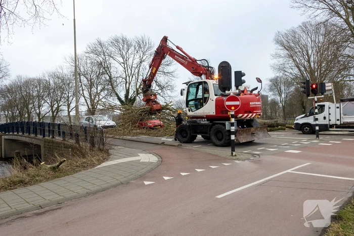 Twee auto's beschadigd door grote boom