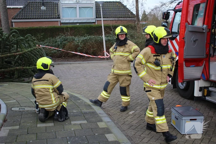Omgewaaide boom in voortuin