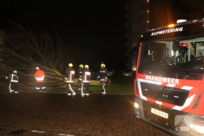 Boom blokkeert weggedeelte