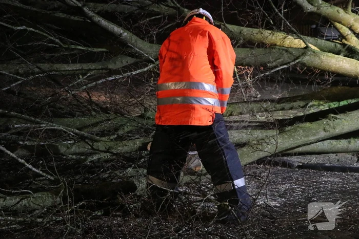 Boom blokkeert weggedeelte