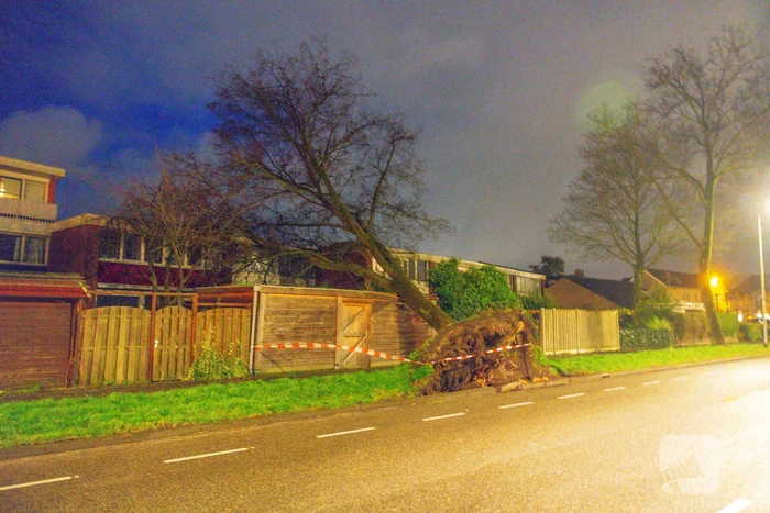 natuur bieshaarlaan hoogland
