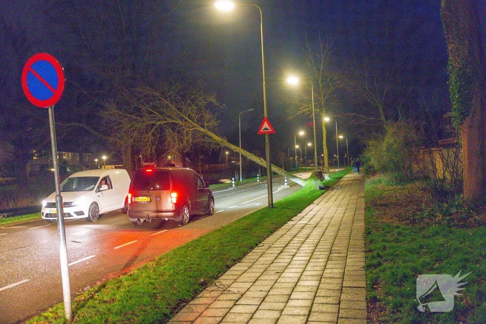 Weg afgesloten door omgevallen bomen