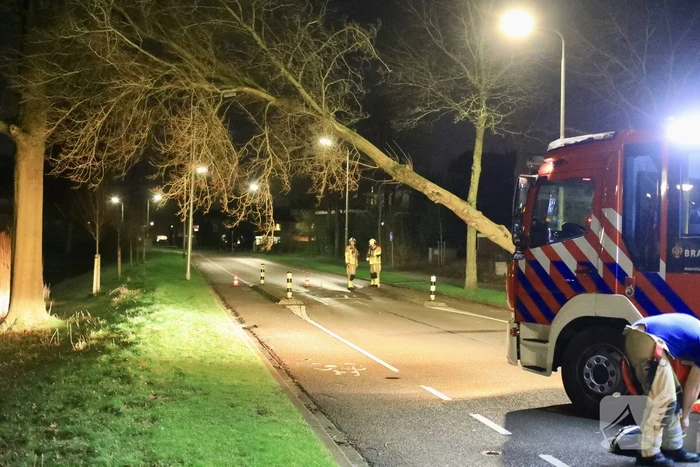Weg afgesloten door omgevallen bomen