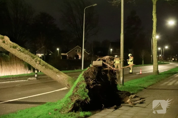 Weg afgesloten door omgevallen bomen