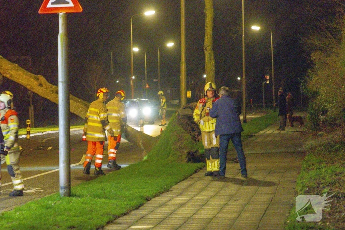 Weg afgesloten door omgevallen bomen
