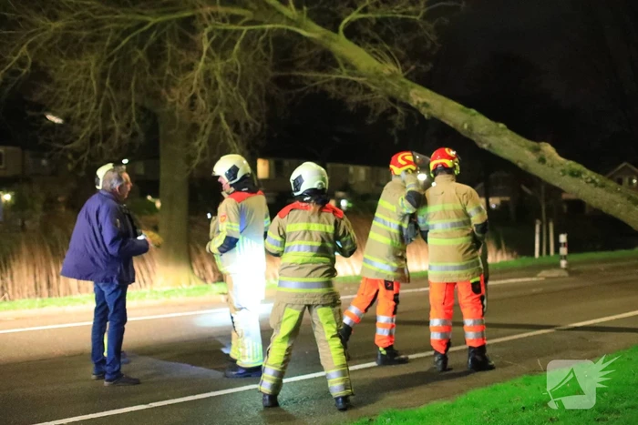 Weg afgesloten door omgevallen bomen