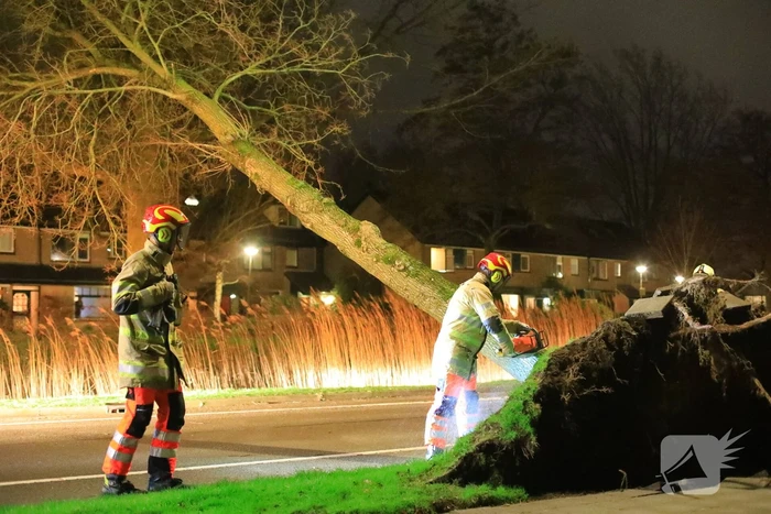 Weg afgesloten door omgevallen bomen