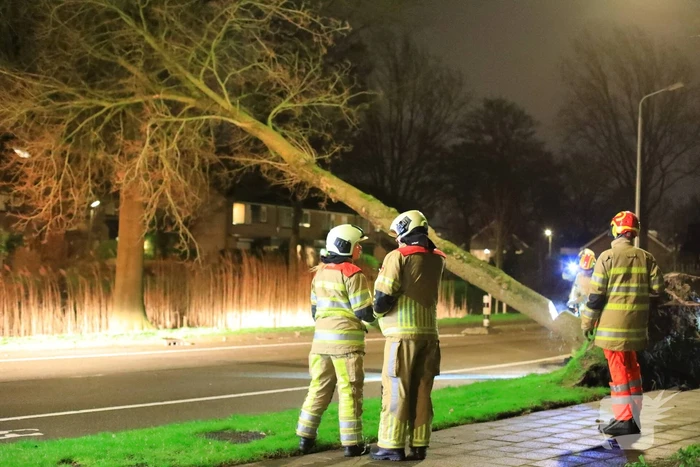 Weg afgesloten door omgevallen bomen