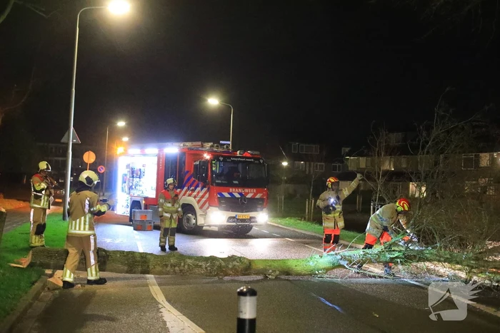 Weg afgesloten door omgevallen bomen