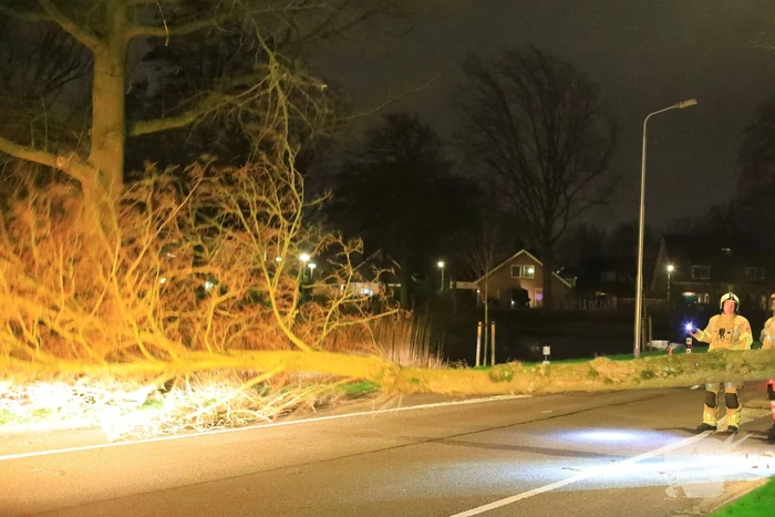 Weg afgesloten door omgevallen bomen