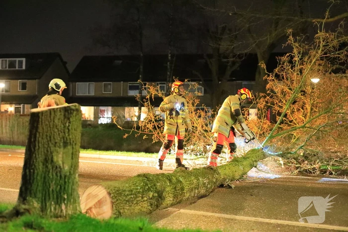 Weg afgesloten door omgevallen bomen