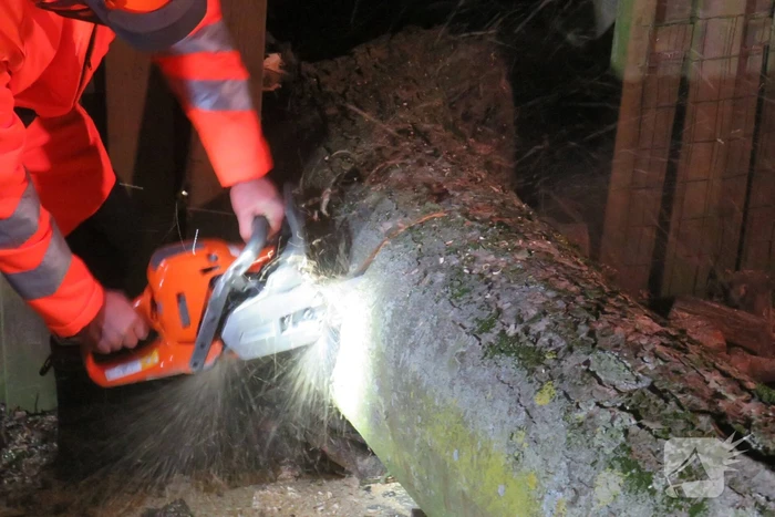 Brandweer gehinderd door omvallende boom