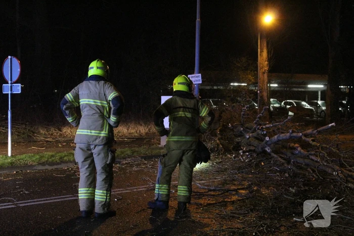 Boom valt om op terrein bij tankstation