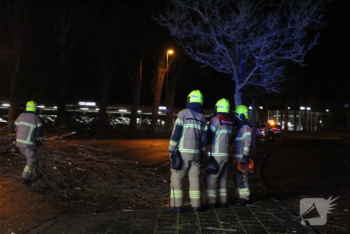 Boom valt om op terrein bij tankstation