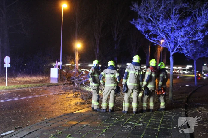 Boom valt om op terrein bij tankstation
