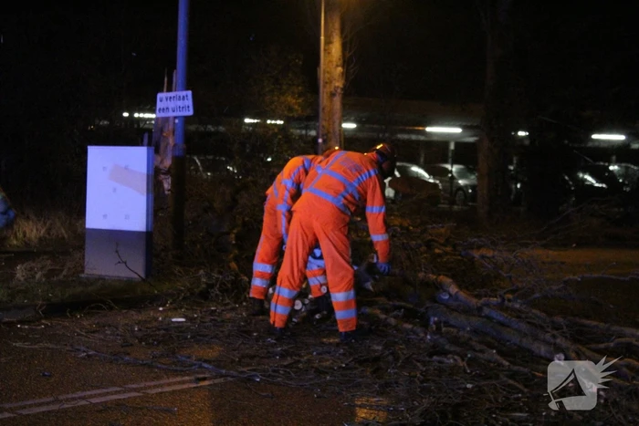 Boom valt om op terrein bij tankstation