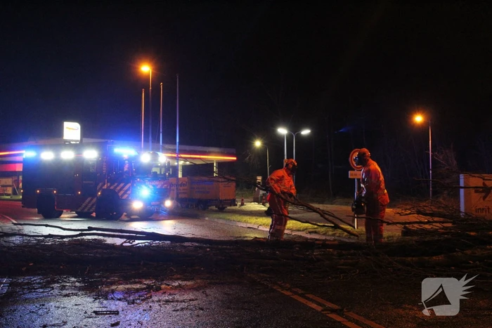 Boom valt om op terrein bij tankstation