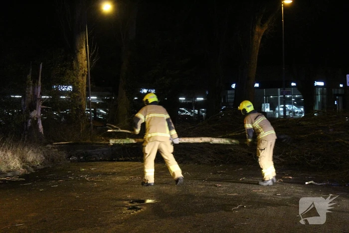 Boom valt om op terrein bij tankstation