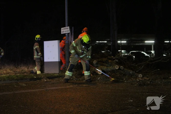 Boom valt om op terrein bij tankstation