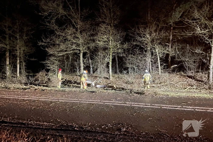 natuur markeloseweg - n752 rijssen