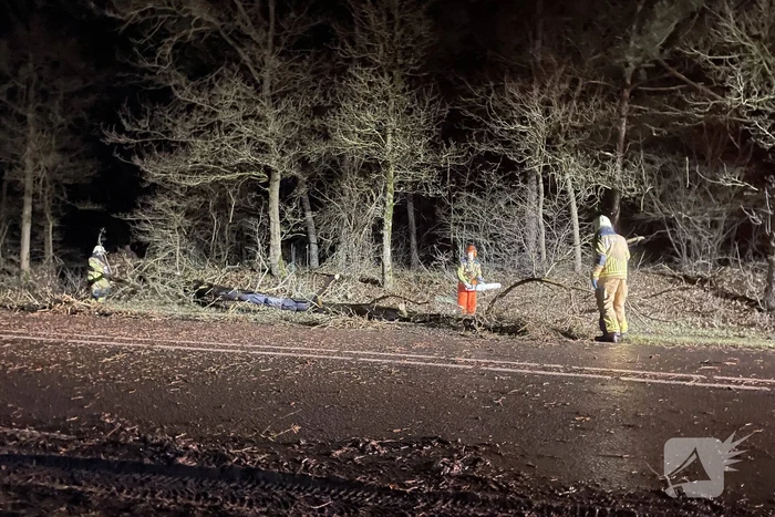 Brandweer verwijdert boom op weg