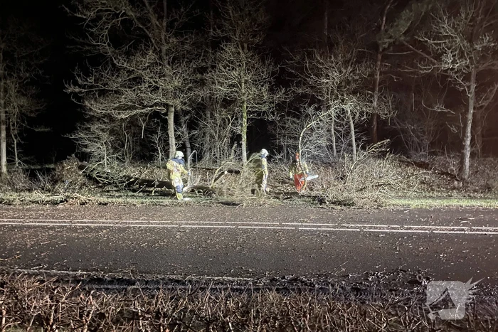 Brandweer verwijdert boom op weg