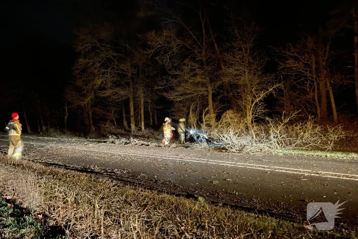 Brandweer verwijdert boom op weg
