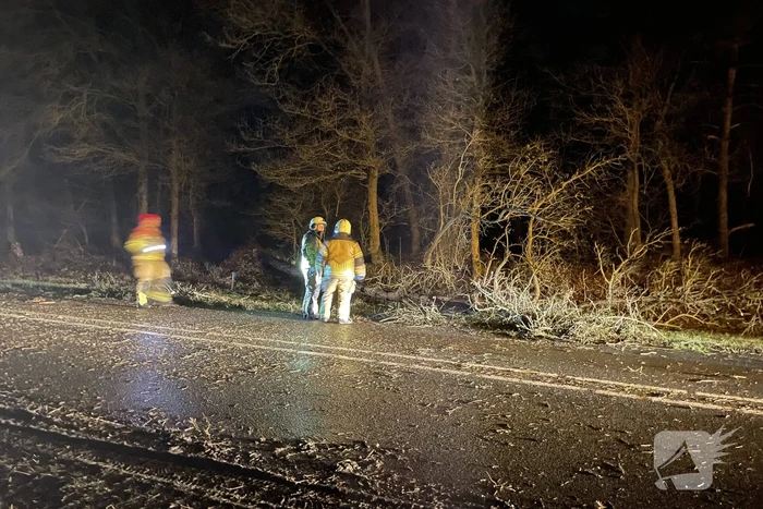 Brandweer verwijdert boom op weg
