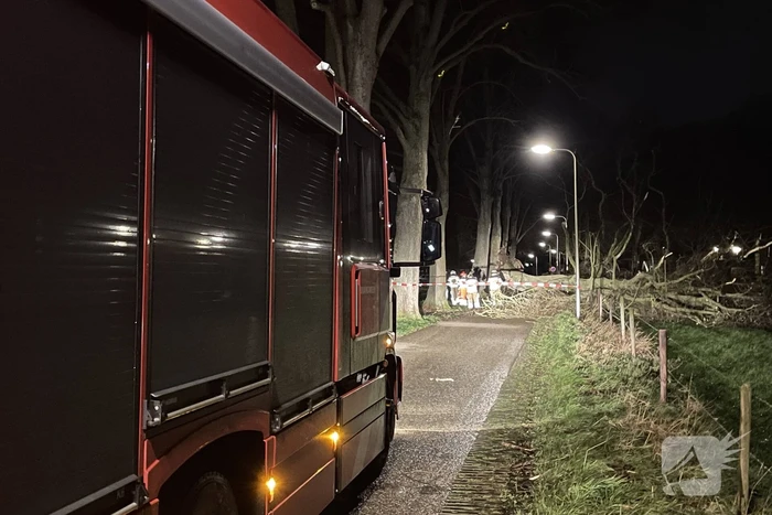 Brandweer verwijdert omgevallen boom