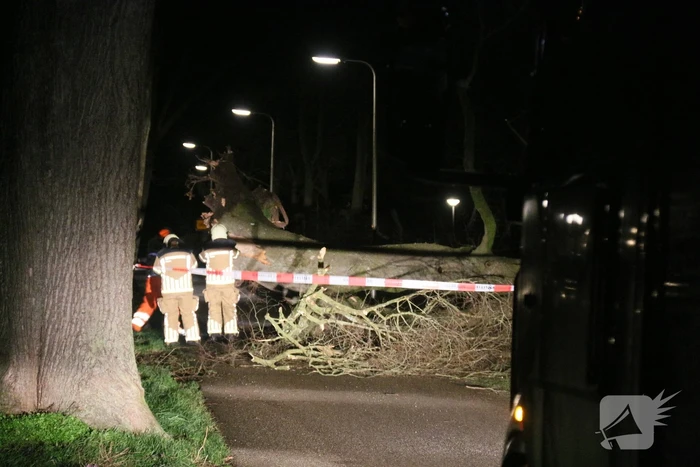 Brandweer verwijdert omgevallen boom