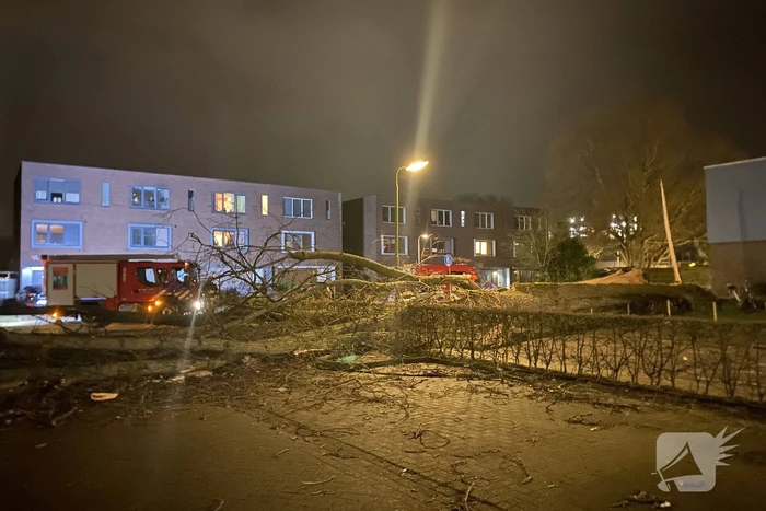 natuur de gealanden leeuwarden
