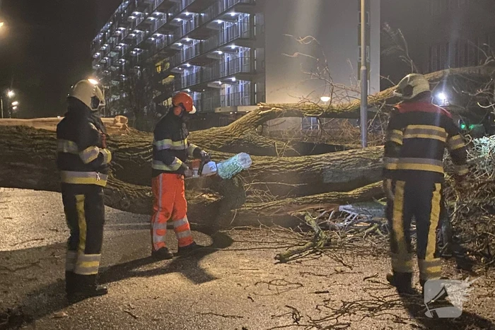 Grote boom omgewaaid in woonwijk