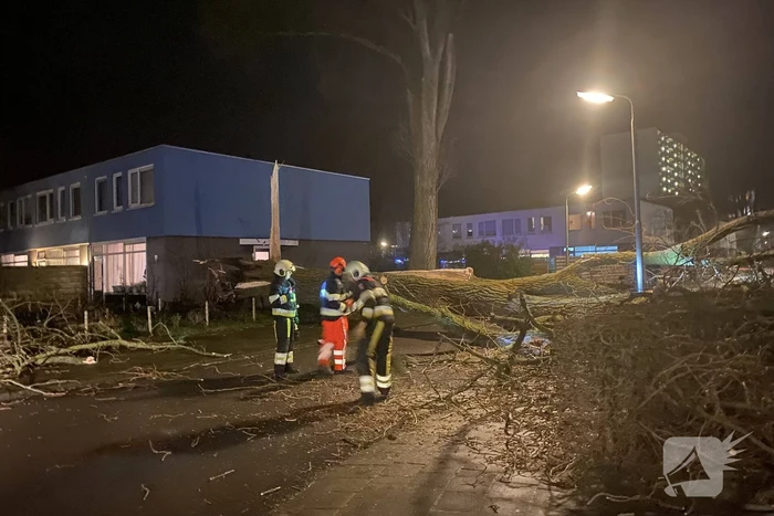 Grote boom omgewaaid in woonwijk