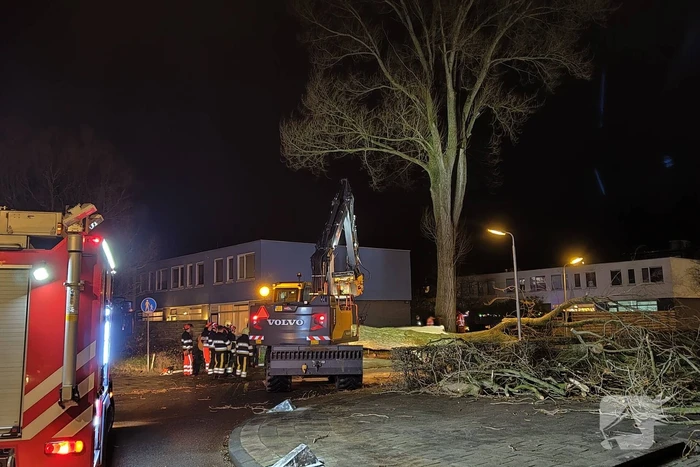 Grote boom omgewaaid in woonwijk