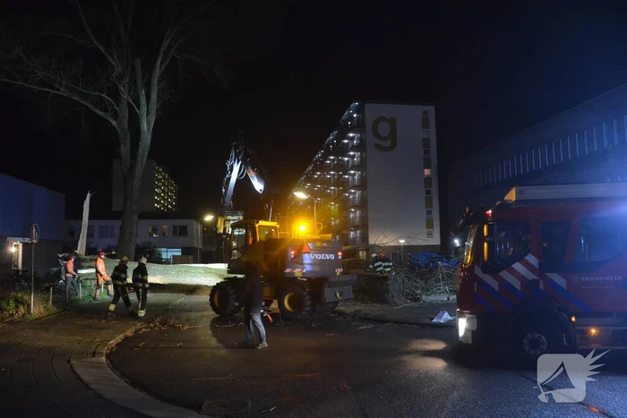 Grote boom omgewaaid in woonwijk