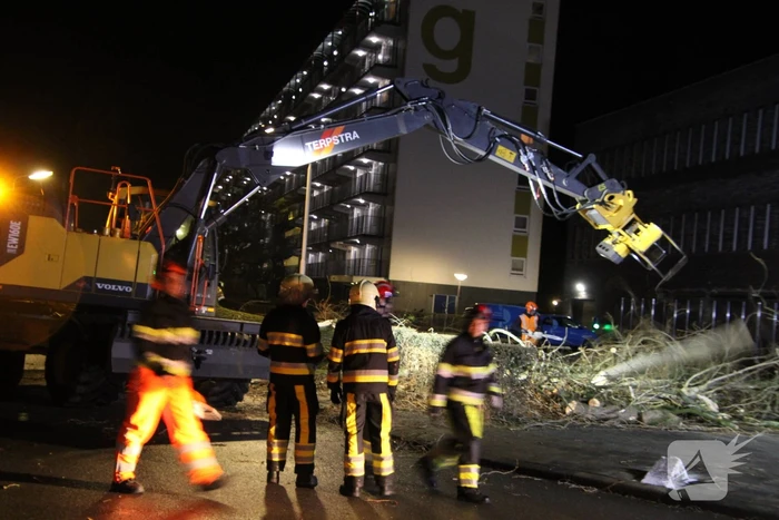 Grote boom omgewaaid in woonwijk