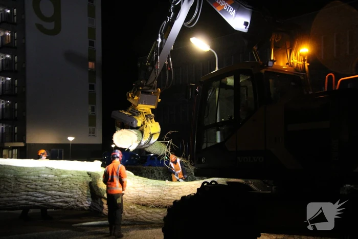 Grote boom omgewaaid in woonwijk