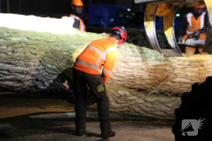 Grote boom omgewaaid in woonwijk