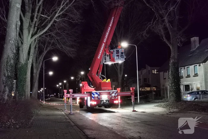 Grote boom dreigt om te vallen