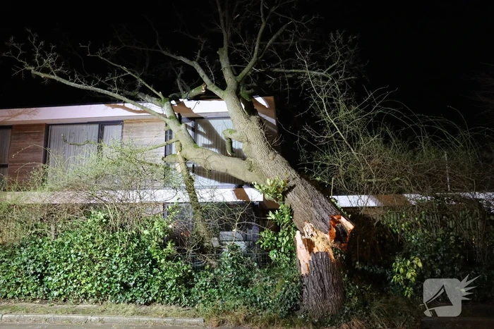 Grote boom valt op woonhuis