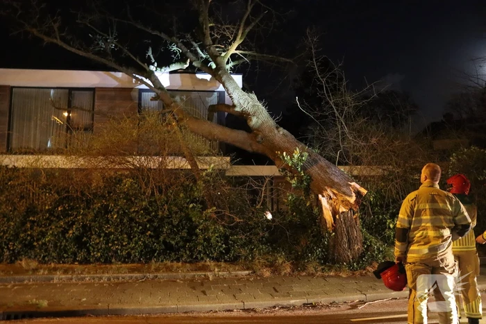 Grote boom valt op woonhuis
