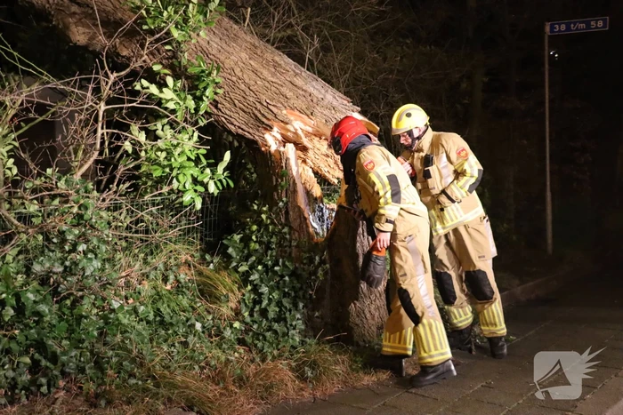 Grote boom valt op woonhuis
