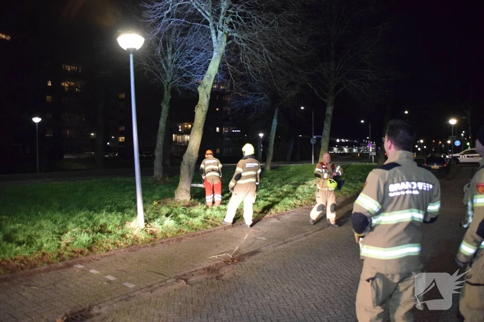 Brandweer zaagt boom omver