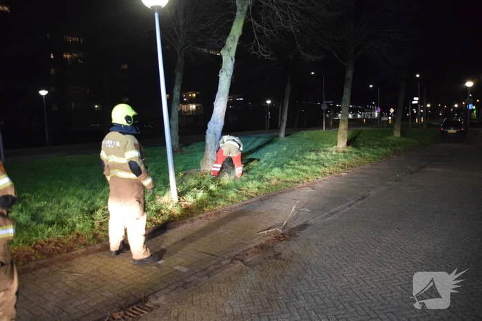 Brandweer zaagt boom omver