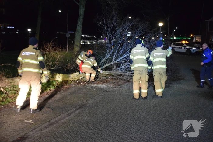 Brandweer zaagt boom omver