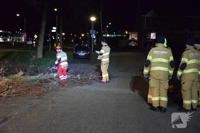 Brandweer zaagt boom omver