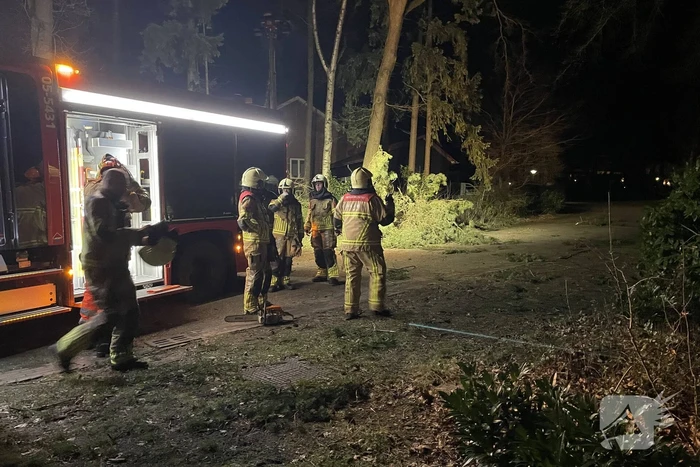 Brandweer verwijdert boom over de weg