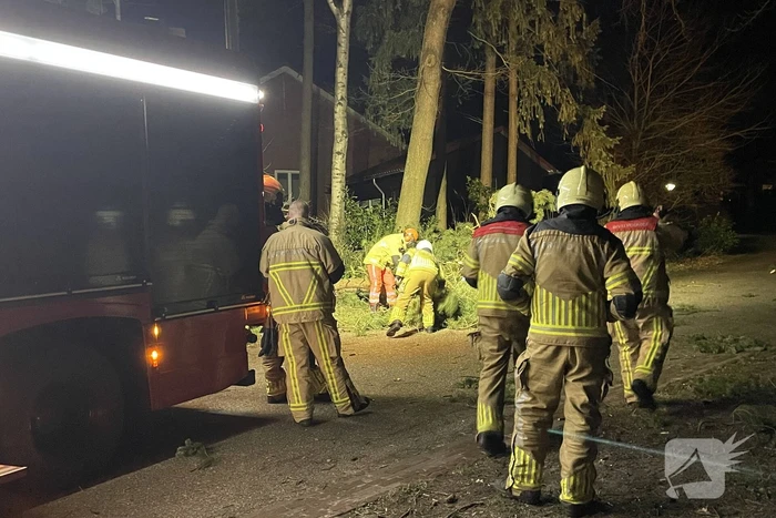 Brandweer verwijdert boom over de weg